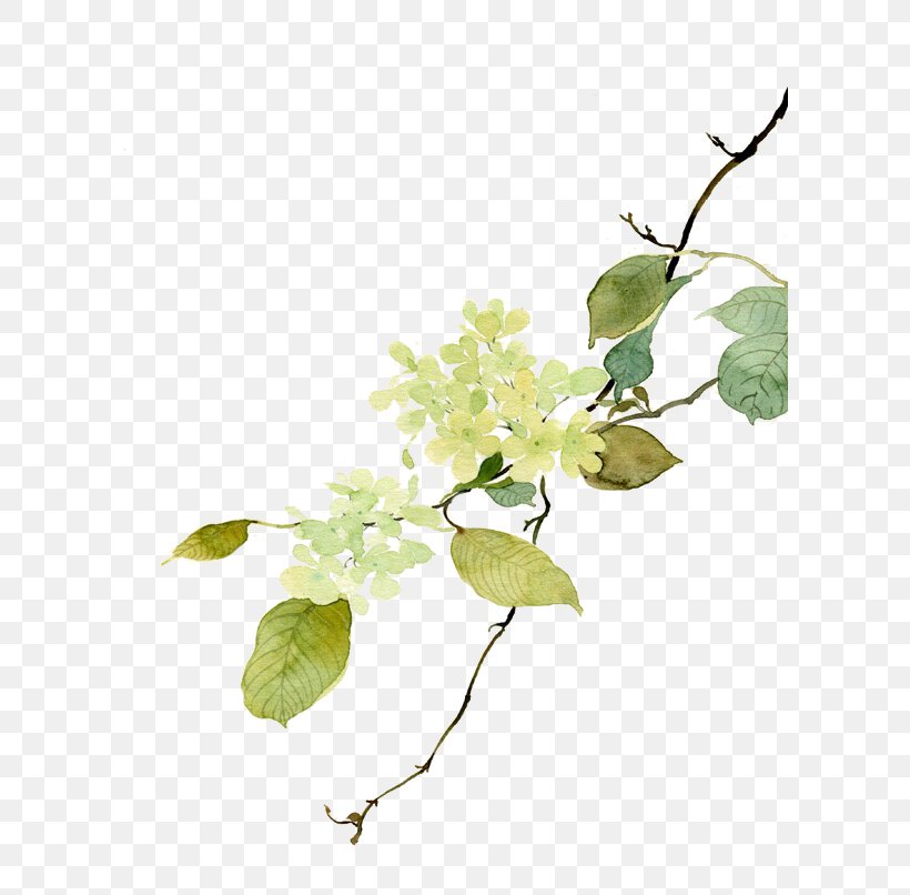Drawing, PNG, 600x806px, Drawing, Branch, Floral Design, Flower, Green Download Free