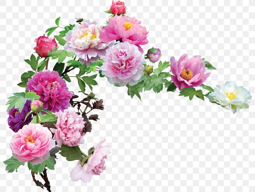 Flower Garden Roses Clip Art, PNG, 800x619px, Flower, Annual Plant, Artificial Flower, Blossom, Blume Download Free