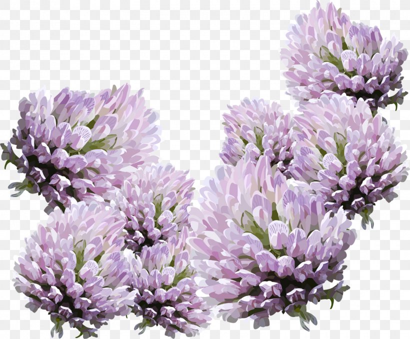 Flower Home Page Email Clip Art, PNG, 1600x1323px, Flower, Blog, Blogger, Email, English Lavender Download Free