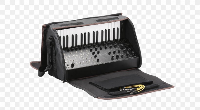 Korg MS-20 Mini Limited Edition Semi-Modular Analog Synthesizer KORG SC-MS20 Mini Soft Case MS-20 Mini Monophonic Analog Synthesizer Sound Synthesizers, PNG, 1200x663px, Watercolor, Cartoon, Flower, Frame, Heart Download Free