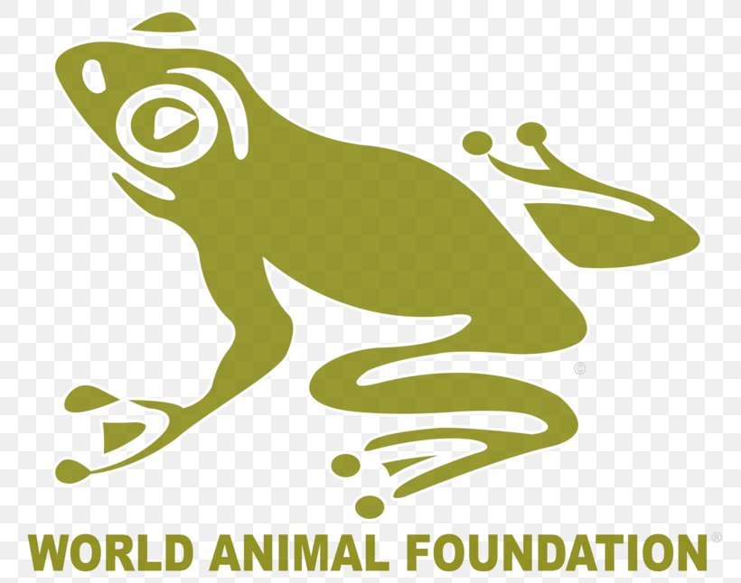 Non-profit Organisation Organization Animal Welfare World Animal Protection, PNG, 784x646px, Nonprofit Organisation, Amphibian, Animal, Animal Foundation, Animal Product Download Free