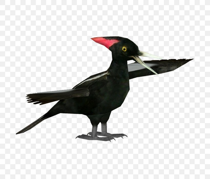 Beak Fauna Feather, PNG, 698x698px, Beak, Bird, Crow, Fauna, Feather Download Free