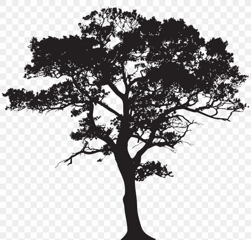 Silhouette Tree Clip Art, PNG, 8000x7662px, Silhouette, Black And White, Branch, Monochrome Photography, Oak Download Free