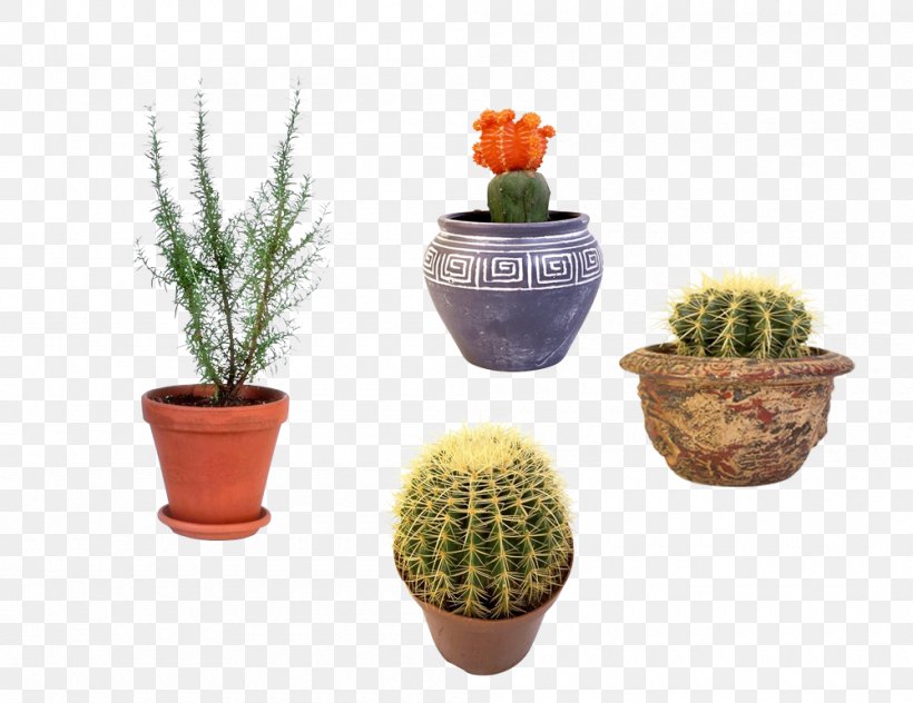 Barbecue Flowerpot Bonsai Houseplant, PNG, 1000x771px, Barbecue, Bonsai, Cactaceae, Cactus, Ceramic Download Free