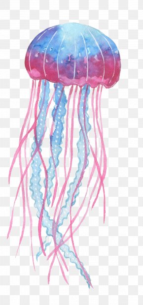 Blue Jellyfish Images Blue Jellyfish Transparent Png Free Download