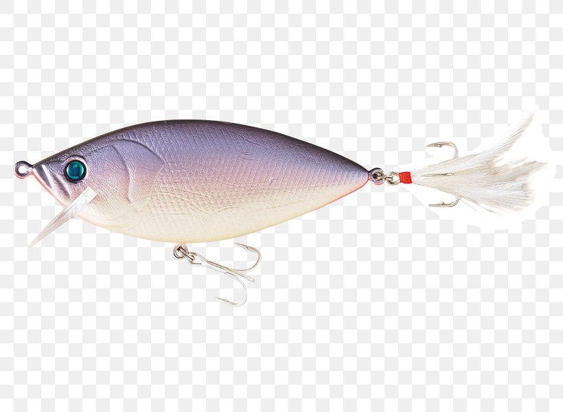 Sardine Spoon Lure Milkfish Perch AC Power Plugs And Sockets, PNG, 800x600px, Sardine, Ac Power Plugs And Sockets, Bait, Bony Fish, Fish Download Free