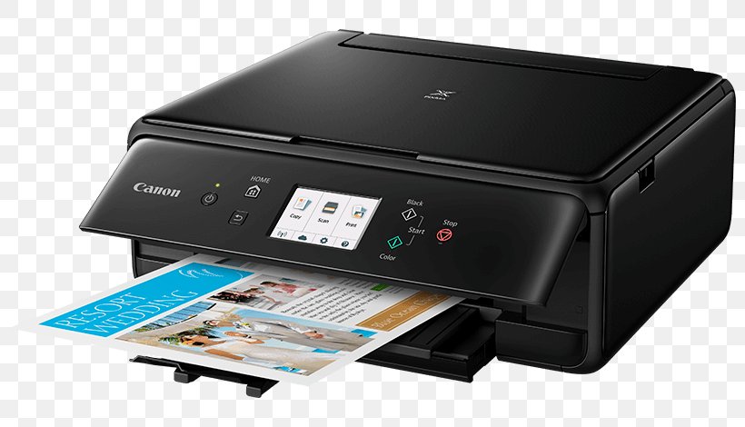 Canon PIXMA MG2550 Printer Inkjet Printing, PNG, 800x470px, Watercolor, Cartoon, Flower, Frame, Heart Download Free