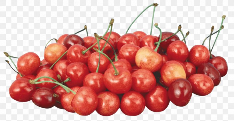 Sweet Cherry Clip Art File Format, PNG, 850x439px, Sweet Cherry, Acerola, Acerola Family, Auglis, Bell Peppers And Chili Peppers Download Free