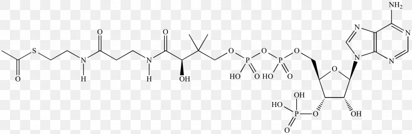 Acetyl-CoA Coenzyme A Acetyl Group Citric Acid Cycle, PNG, 2718x891px, Acetylcoa, Acetate, Acetyl Group, Acyl Group, Acylcoa Download Free