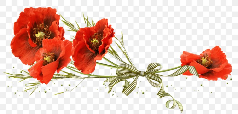 Clip Art Poppy Image Free Content, PNG, 800x395px, Poppy, Common Poppy, Cut Flowers, Drawing, Floral Design Download Free