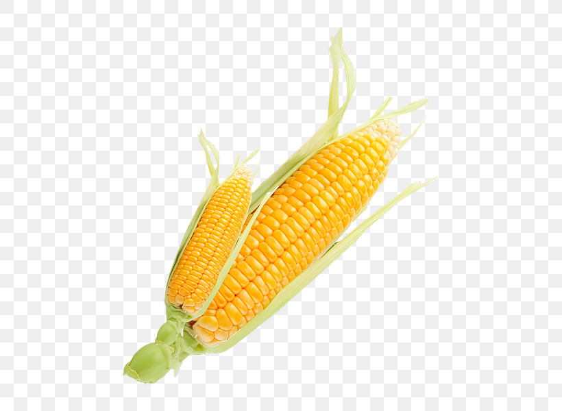 Corn On The Cob Sweet Corn Corn Corn Kernels Corn On The Cob, PNG, 600x600px, Corn On The Cob, Corn, Corn Kernels, Cuisine, Food Download Free