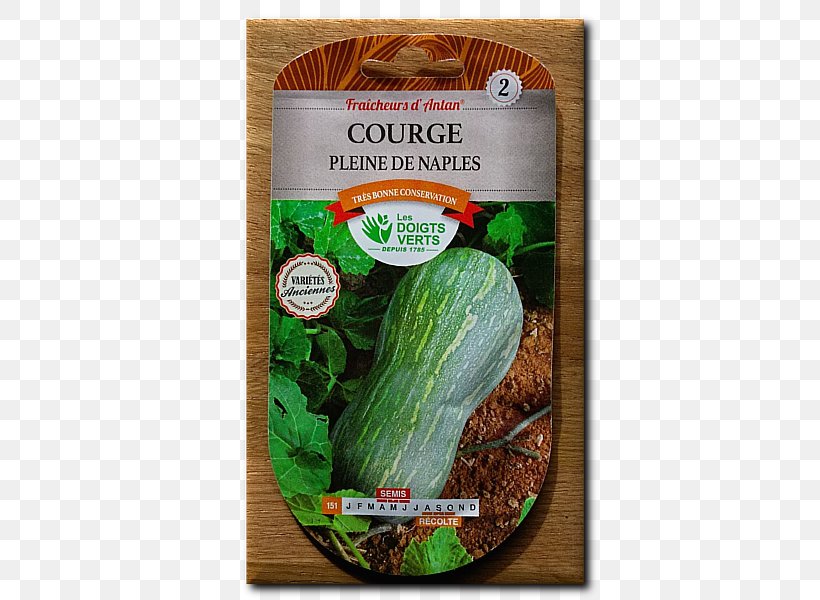 Cucumber Vegetarian Cuisine Food La Quinta Inns & Suites, PNG, 600x600px, Cucumber, Cucumber Gourd And Melon Family, Cucumis, Food, Gourd Order Download Free