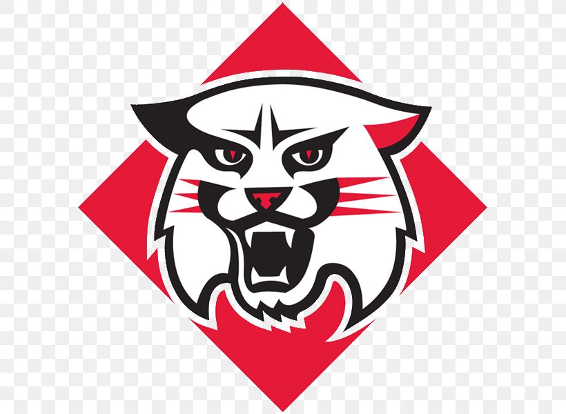 Davidson College Davidson Wildcats Football Davidson Wildcats Baseball Davidson Wildcats Men's Basketball College Of Charleston, PNG, 600x600px, Davidson College, Amherst, Art, Artwork, Atlantic 10 Conference Download Free