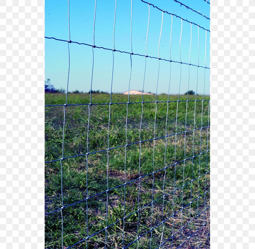 Fence Chain-link Fencing Wire Gauge Barbed Wire, PNG, 800x800px, Fence, Agriculture, American Wire Gauge, Area, Barbed Wire Download Free