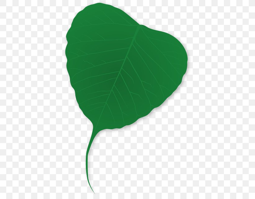 Leaf Green Viridiplantae, PNG, 418x640px, Leaf, Aquatic Plants, Baiera, Ginkgo Biloba, Green Download Free