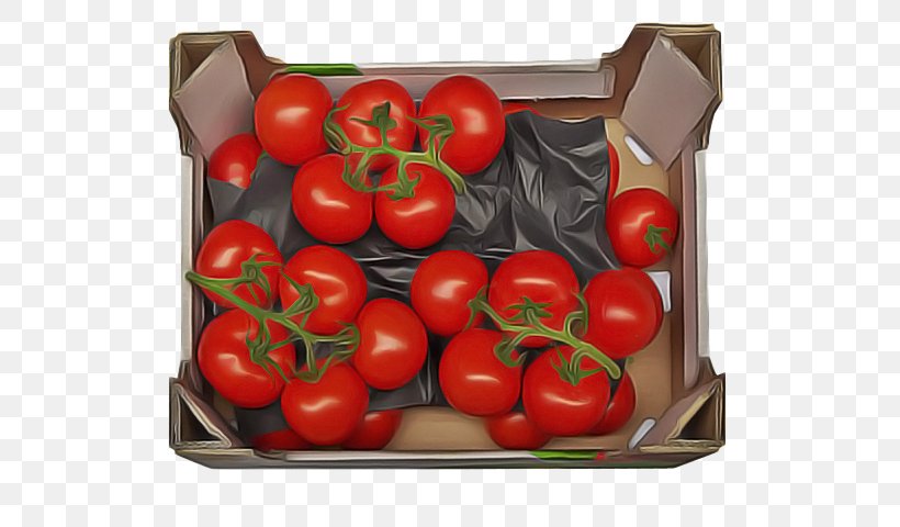 Potato Cartoon, PNG, 720x480px, Plum Tomato, Aubergines, Bush Tomato, Cherry, Cherry Tomatoes Download Free