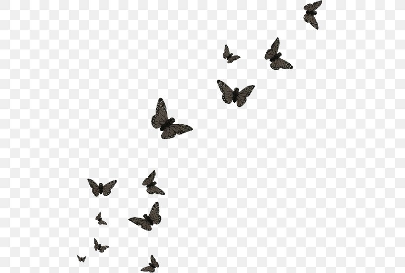 Butterfly Papillon Dog Editing, PNG, 510x552px, Butterfly, Bird, Black And White, Color, Ducks Geese And Swans Download Free