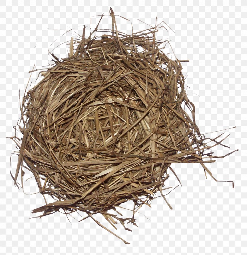 Weed Bird Edible Birds Nest, PNG, 1425x1474px, Bird, Bird Nest, Birdcage, Brown, Cage Download Free
