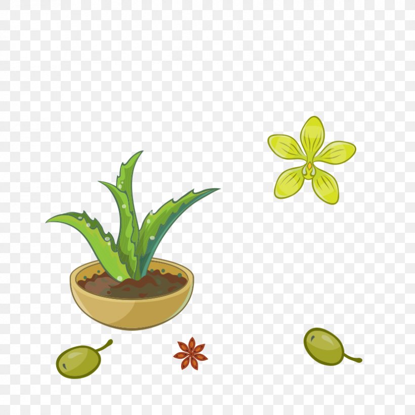 Aloe Vera Green Plant Flowerpot, PNG, 827x827px, Aloe Vera, Aloe, Flora, Flower, Flowerpot Download Free