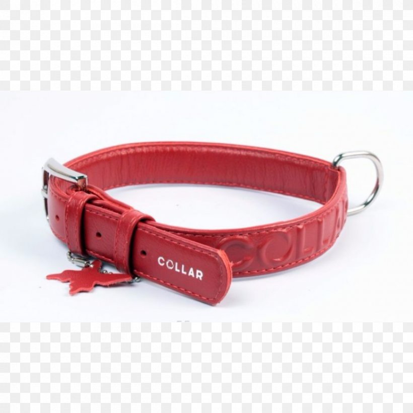 Dog Collar Clothing Accessories, PNG, 1200x1200px, Dog, Clothing Accessories, Collar, Dog Collar, Fashion Download Free