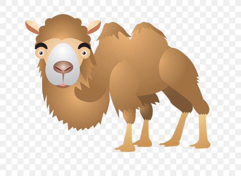 Dromedary Sticker Clip Art, PNG, 800x600px, Dromedary, Arabian Camel, Beak, Camel, Camel Like Mammal Download Free