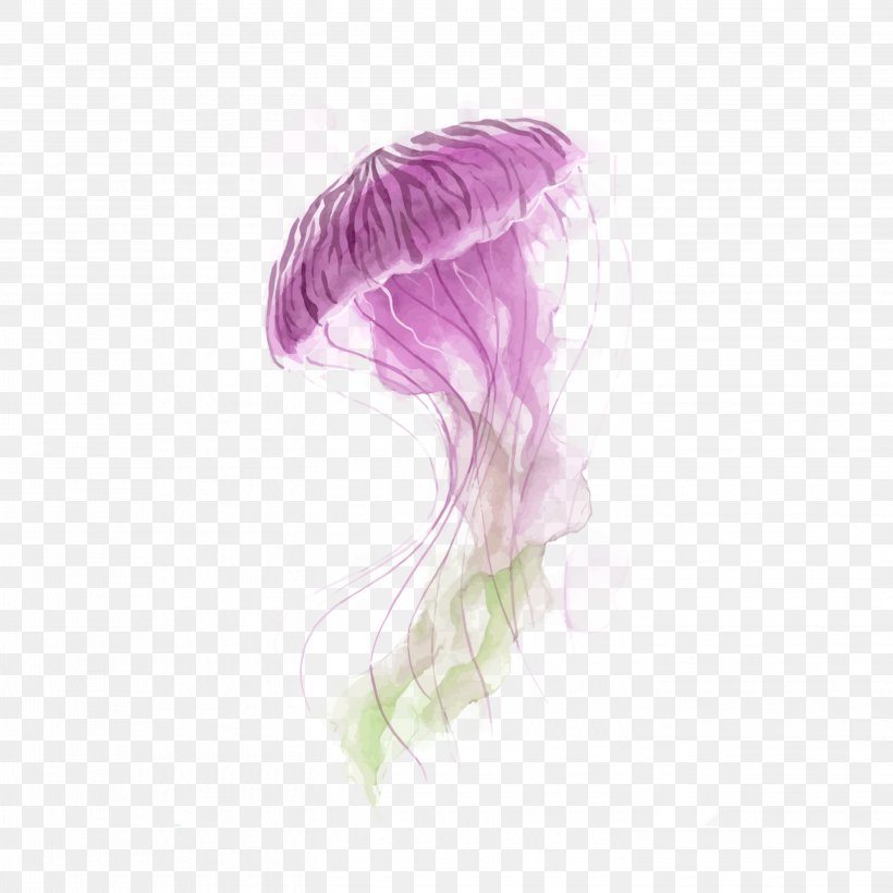 Jellyfish Watercolor Painting Vector Graphics Canvas, PNG, 2896x2896px, Jellyfish, Abstract Art, Art, Artist, Canvas Download Free