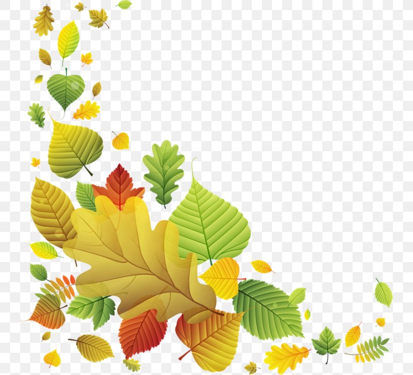 Image Autumn Clip Art Leaf, PNG, 740x744px, Autumn, Autumn Leaf Color, Branch, Flora, Floral Design Download Free