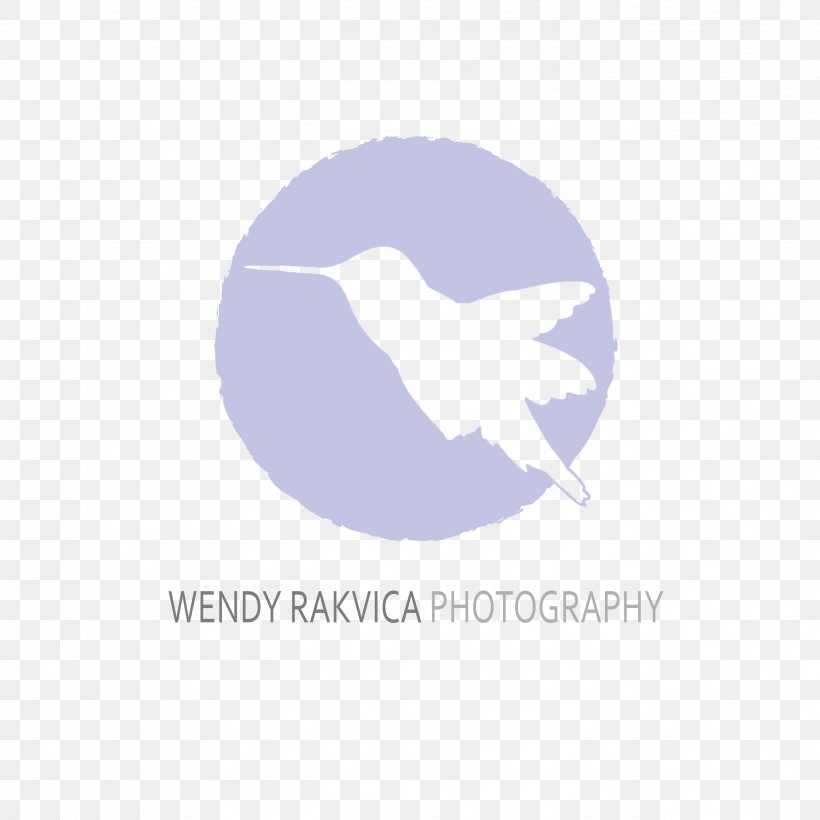 Wendy Rakvica Photography Albany Logo Desktop Wallpaper Infant, PNG, 2579x2580px, Albany, Brand, Clifton Park, Computer, Family Download Free