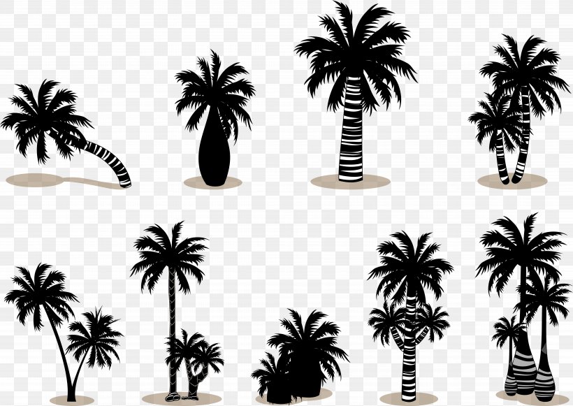 Arecaceae Silhouette, PNG, 8358x5927px, Arecaceae, Arecales, Black And White, Coco, Coconut Download Free