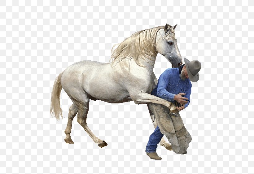 Horses Farrier Parage, PNG, 498x562px, Horse, Animaatio, Animal, Animal Figure, Bit Download Free