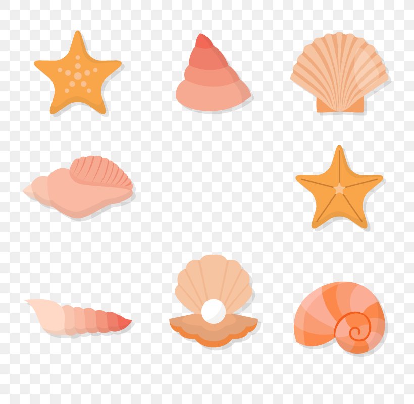 Seashell Euclidean Vector Download, PNG, 800x800px, Seashell, Orange, Peach, Scalable Vector Graphics Download Free