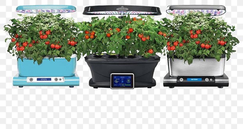 Growing Tomatoes Gardening Hydroponics, PNG, 800x437px, Growing Tomatoes, Agriculture, Aquaponics, Back Garden, Flowerpot Download Free
