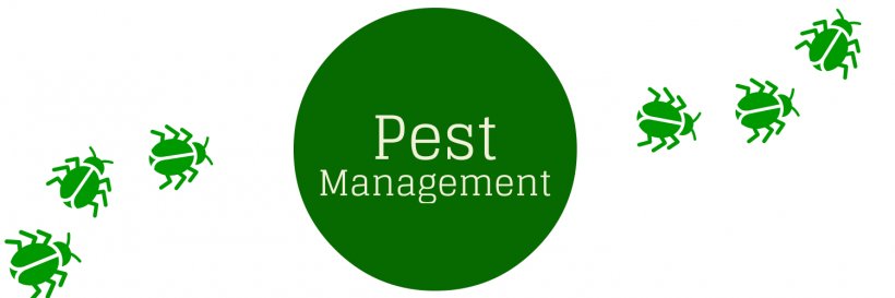 Houseplant Integrated Pest Management Clip Art, PNG, 1500x500px, Plant, Brand, Drawing, Flowerpot, Grass Download Free