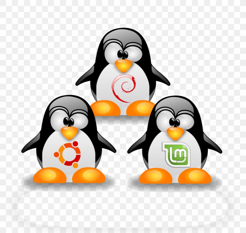 Linux Kernel Ubuntu Operating Systems Linux Distribution, PNG, 1110x1055px, Linux, Beak, Bird, Computer, Flightless Bird Download Free