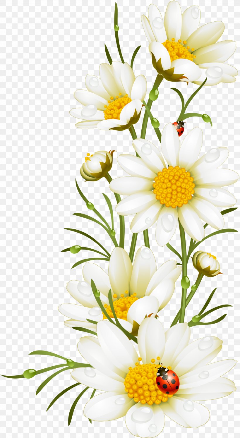 Poppy Flower Chamomile Illustration, PNG, 1849x3376px, Poppy, Chamaemelum Nobile, Chamomile, Chrysanths, Cut Flowers Download Free