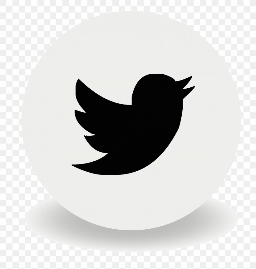 Social Media Advertising Business YouTube Logo, PNG, 2022x2126px, Social Media, Advertising, Art Director, Beak, Bird Download Free
