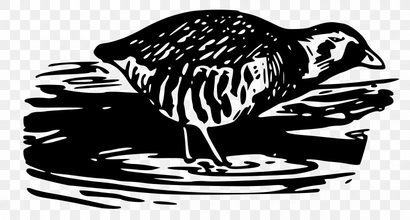 Bird Clip Art, PNG, 2400x1288px, Bird, Art, Beak, Black And White, Cartoon Download Free