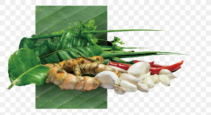 Chiang Mai Province Leaf Vegetable Sai Ua Herb Food, PNG, 1608x884px, Chiang Mai Province, Food, Herb, Leaf Vegetable, Menu Download Free