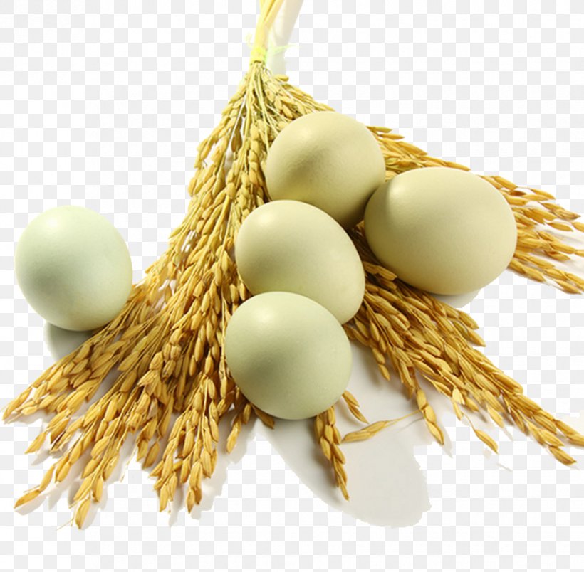 Chicken Coop Egg, PNG, 877x860px, Chicken, Chicken Coop, Commodity, Egg, Food Download Free
