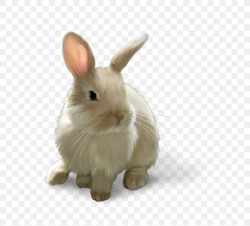 Computer Graphics Clip Art, PNG, 800x742px, 3d Computer Graphics, Computer Graphics, Digital Image, Domestic Rabbit, Easter Download Free