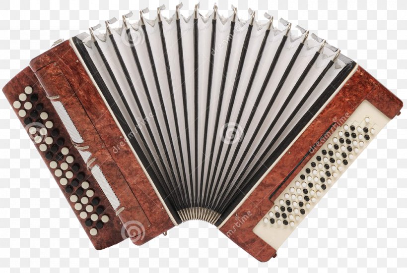 Musical Instruments Accordion Royalty-free Stock Photography, PNG, 1000x672px, Watercolor, Cartoon, Flower, Frame, Heart Download Free