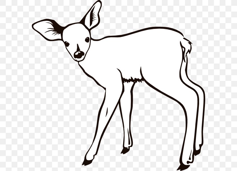 Reindeer White-tailed Deer Coloring Book Clip Art, PNG, 600x592px, Deer, Antler, Artwork, Black And White, Carnivoran Download Free