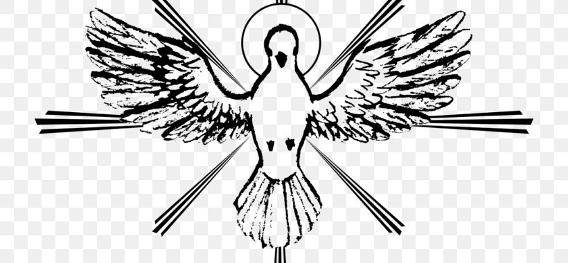 Seven Gifts Of The Holy Spirit Catechism Of The Catholic Church Doves As Symbols, PNG, 720x380px, Holy Spirit, Beak, Bird, Blackandwhite, Catechism Of The Catholic Church Download Free