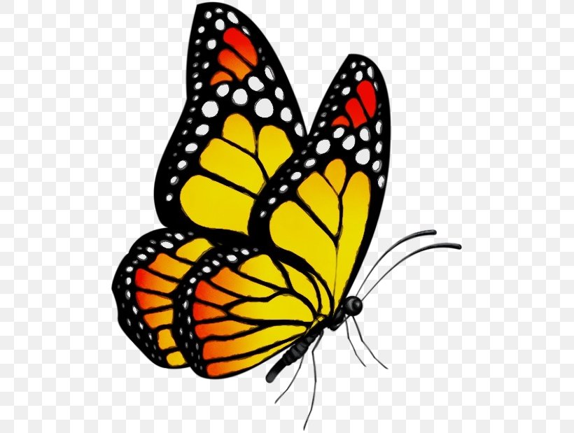 Watercolor Butterfly Background, PNG, 505x619px, Watercolor, Acetogenin, Arthropod, Borboleta, Brushfooted Butterflies Download Free