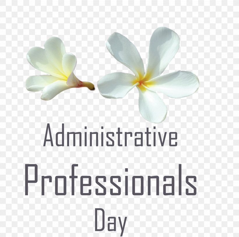 Administrative Professionals Day Secretaries Day Admin Day, PNG, 3000x2981px, Administrative Professionals Day, Admin Day, Area, Biology, Flower Download Free