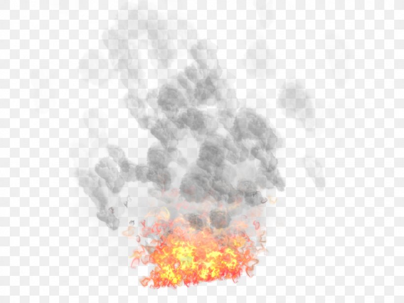 Flame Fire Conflagration Combustion Clip Art, PNG, 1024x768px, Watercolor, Cartoon, Flower, Frame, Heart Download Free