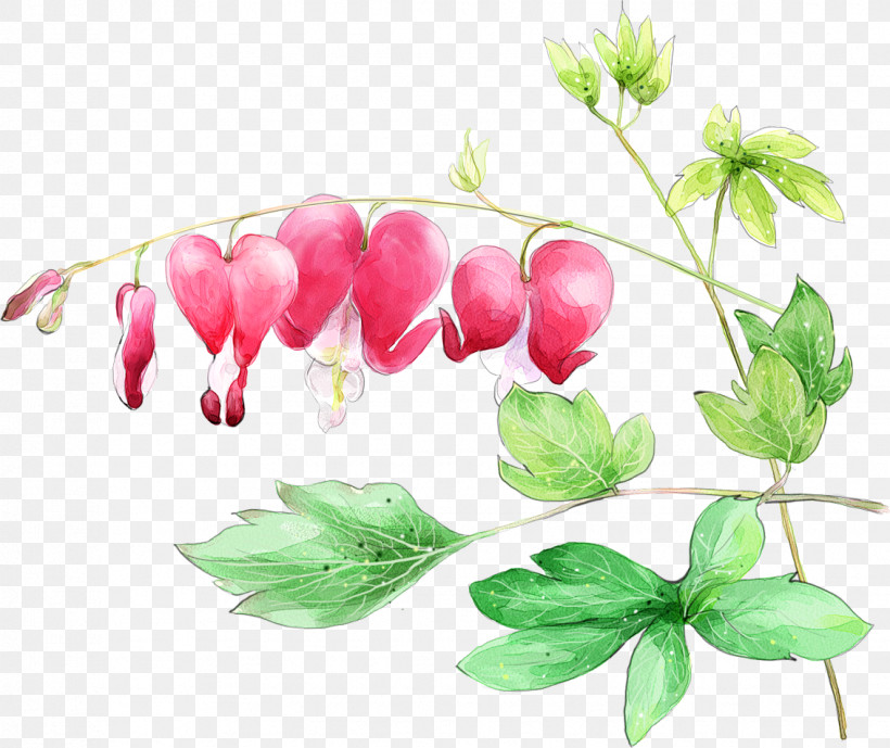 Flower Leaf Plant Pacific Bleeding Heart Petal, PNG, 1133x952px, Drawing Flower, Anthurium, Branch, Floral Drawing, Flower Download Free