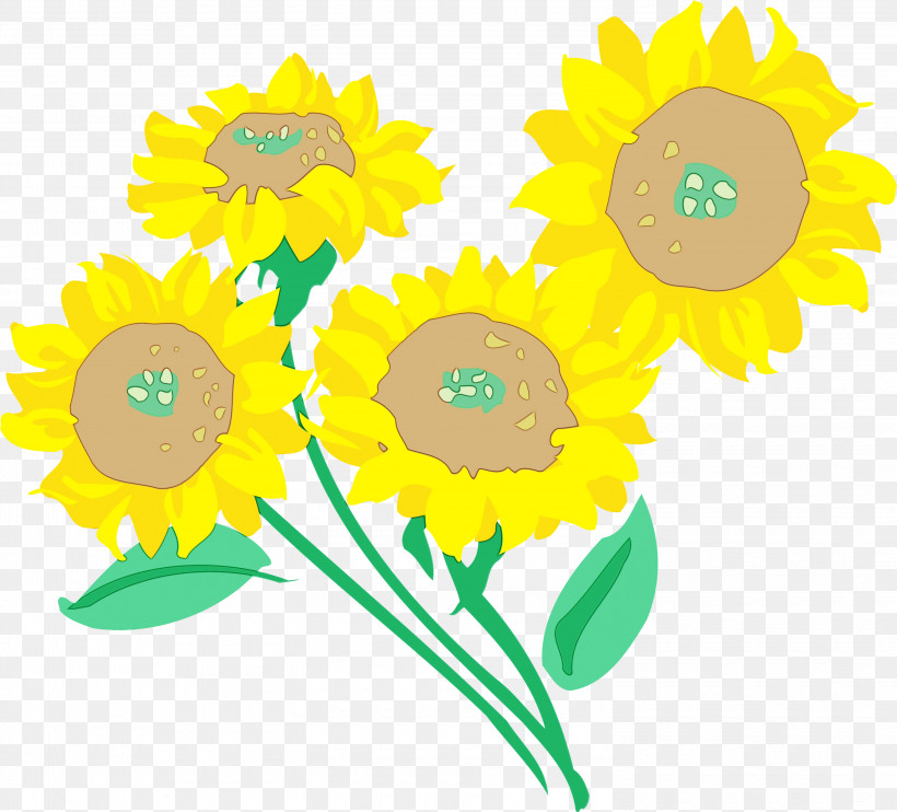 Sunflower, PNG, 3000x2716px, Sunflower, Cartoon, Cut Flowers, Daisy Family, Flower Download Free