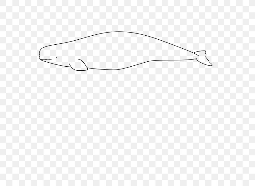 Beluga Whale Arctic Der Weisswal: Delphinapterus Leucas Cetacea Narwhal, PNG, 776x600px, Beluga Whale, Arctic, Beluga, Black, Black And White Download Free