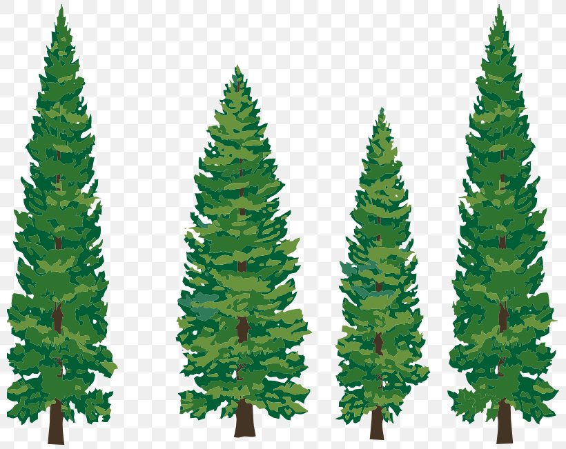 Eastern White Pine Tree Clip Art, PNG, 812x651px, Pine, Art, Biome, Black Pine, Christmas Decoration Download Free